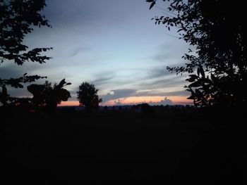 Silhouette trees against sky at sunset