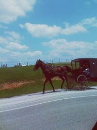 Horse cart on road against sky