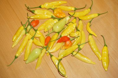 Close-up of food