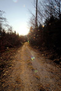 Road amidst trees against sky during sunset