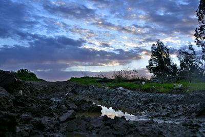 Scenic view of landscape against sky