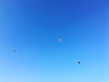 Low angle view of birds flying against clear blue sky