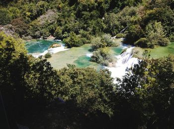 Scenic view of waterfall in forest