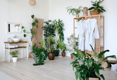 Modern design bathroom in ecological style. white walls, green plants, white bathrobes and towels