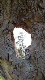 Close-up of rock formation against sky