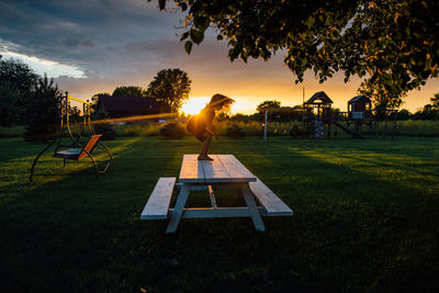 Little boy playing during sunset on picnic table