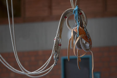 Close-up of tied hanging on rope against wall