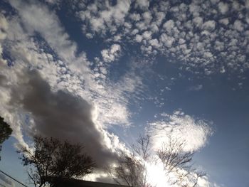 Low angle view of trees against sky