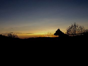 Silhouette trees against sky during sunset