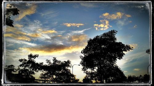 Low angle view of trees against cloudy sky