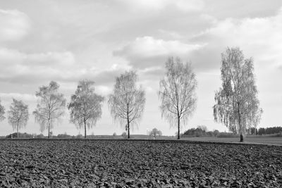 Hay bales on field against sky