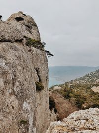 View of bird on rock against sky