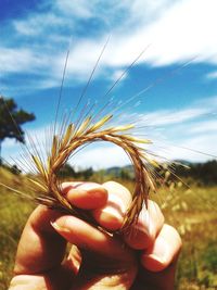 Close-up of hand holding plant growing in field against sky