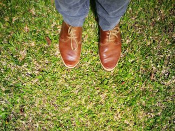 Low section of man standing on field