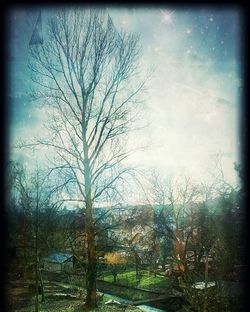 Bare trees against sky