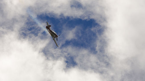 Low angle view of bird flying against sky