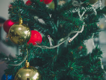 Close-up of christmas decorations hanging on tree