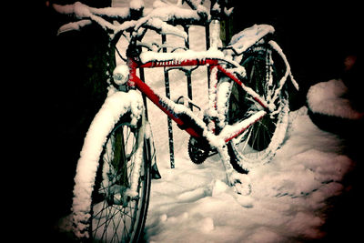 Close-up of snow on tree