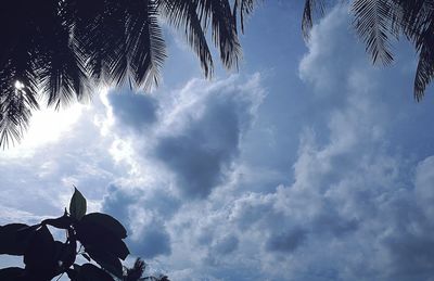 Low angle view of silhouette trees against sky