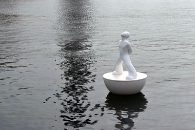 Close-up of swan in water