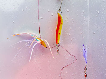 Fishing tackles against wet wall