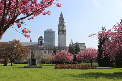 Flowers blooming in front of temple