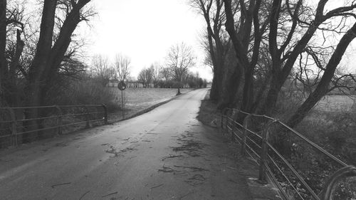 Empty road along trees