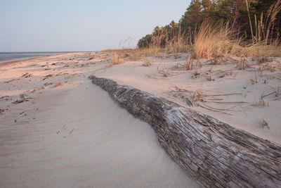 A beautiful seaside landscape of baltic sea. springtime scenery.