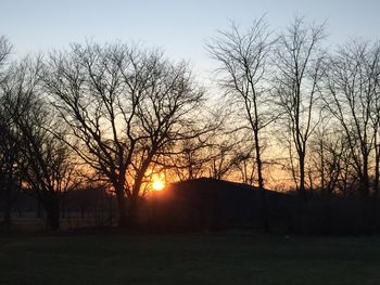 Bare trees on landscape at sunset