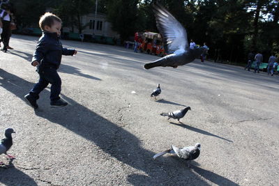 Full length of boy flying birds