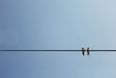 Low angle view of woman against clear sky