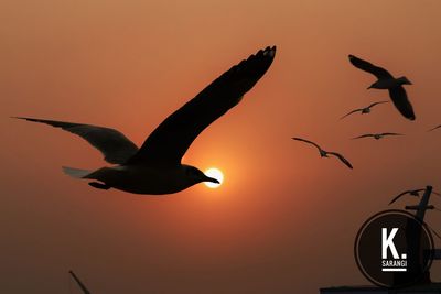 Silhouette birds flying against sky during sunset