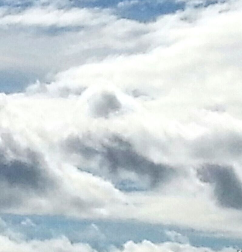 sky, cloud - sky, cloudy, sky only, beauty in nature, tranquility, cloudscape, scenics, tranquil scene, nature, backgrounds, low angle view, white color, full frame, cloud, weather, idyllic, fluffy, outdoors, day