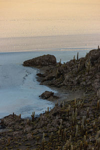 Rocks on beach against sky