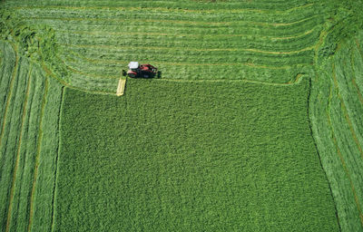 Powerful transport symmetrically plowing green wheat field