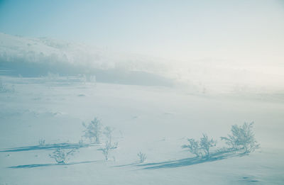 Scenic view of snow covered landscape against sky