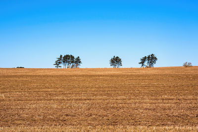 Scenic view of field against clear blue sky