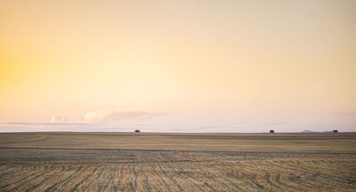 Scenic view of agricultural field against sky during sunset