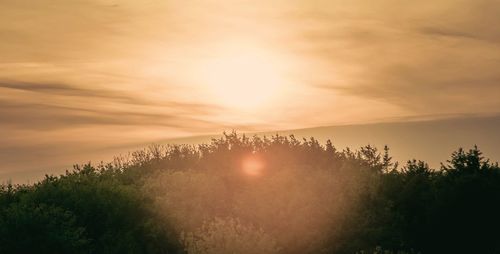 Sunlight streaming through trees against sky during sunset