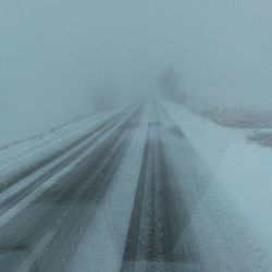 Road passing through foggy weather