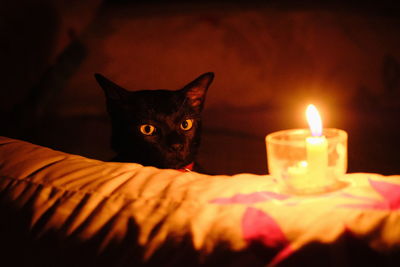 Close-up of a cat with lit candle