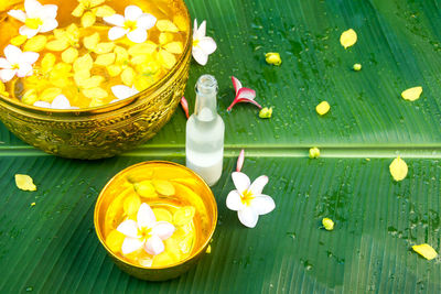 High angle view of various flowers in bowl on table