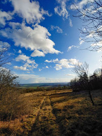 Scenic view of field against sky