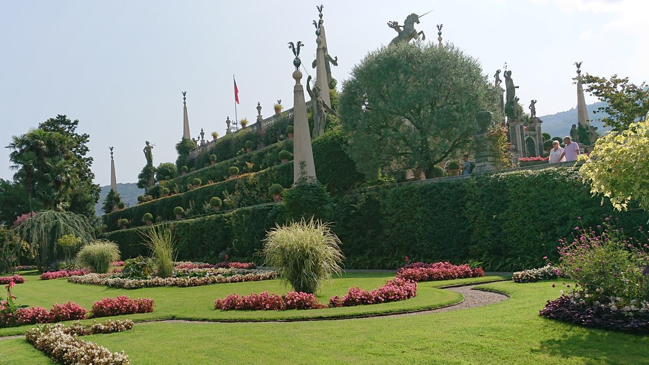 VIEW OF FLOWERING PLANTS IN GARDEN AGAINST SKY