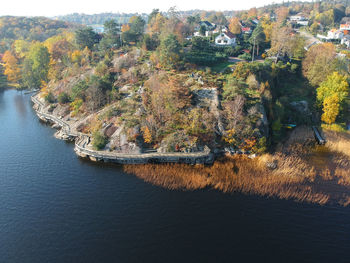 High angle view of river amidst trees