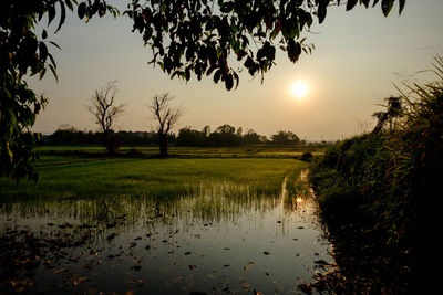 Scenic view of field against sky during sunset