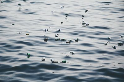 High angle view of bottles floating on lake