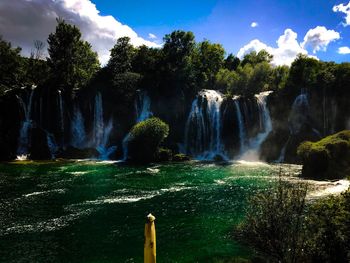 Scenic view of waterfall in forest