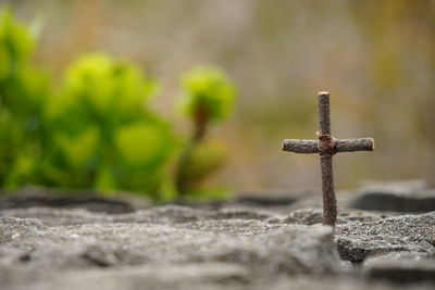 Close-up of rusty metal