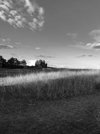Scenic view of field against sky